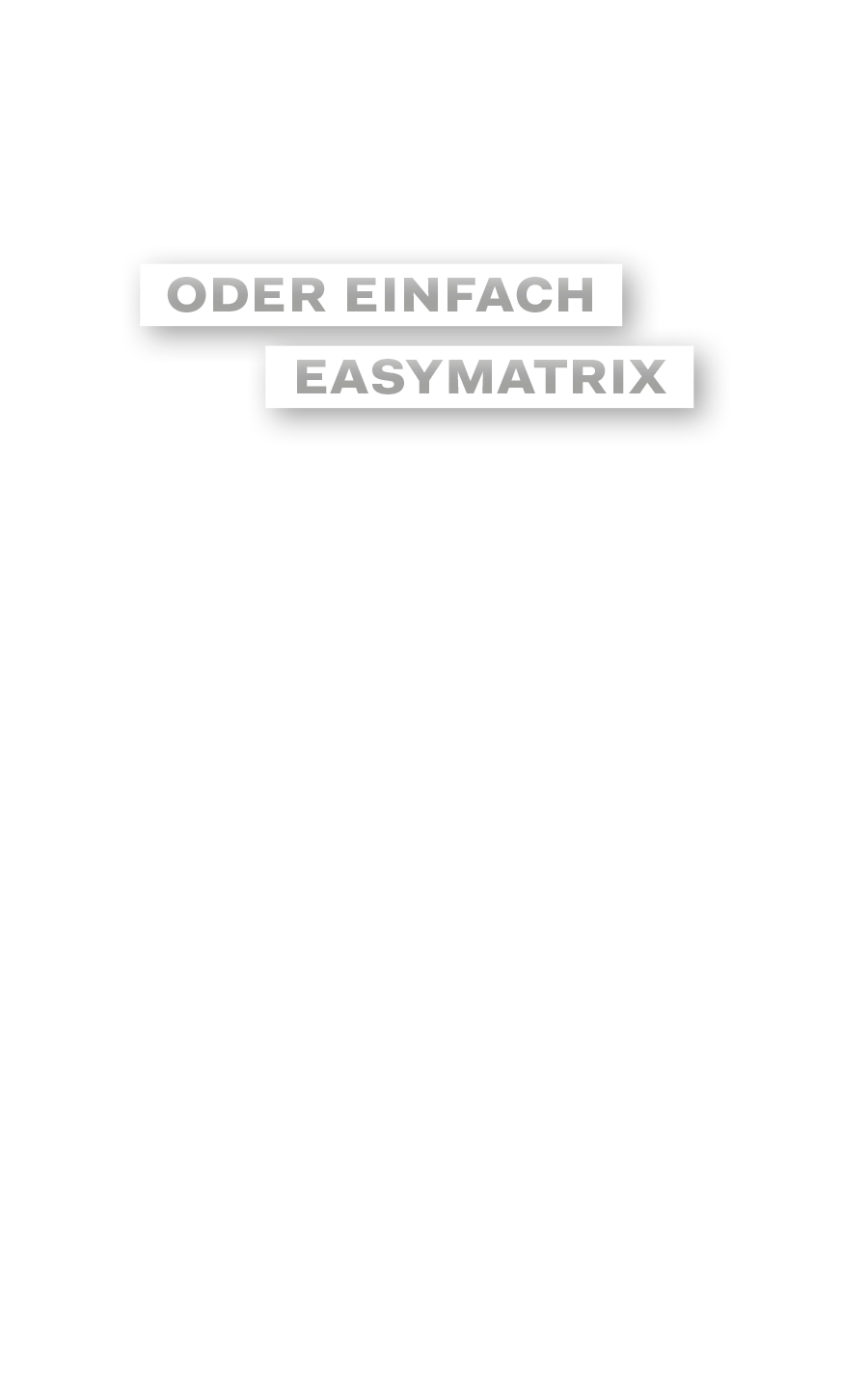 JD_mob_Easymatrix_3_oder_einfach_Easymatrix_Typo_F01